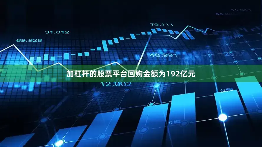 加杠杆的股票平台回购金额为192亿元
