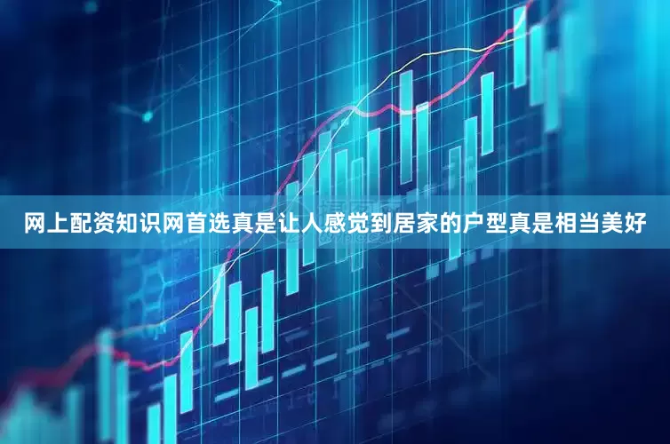 网上配资知识网首选真是让人感觉到居家的户型真是相当美好