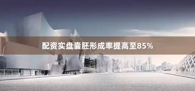 配资实盘囊胚形成率提高至85%