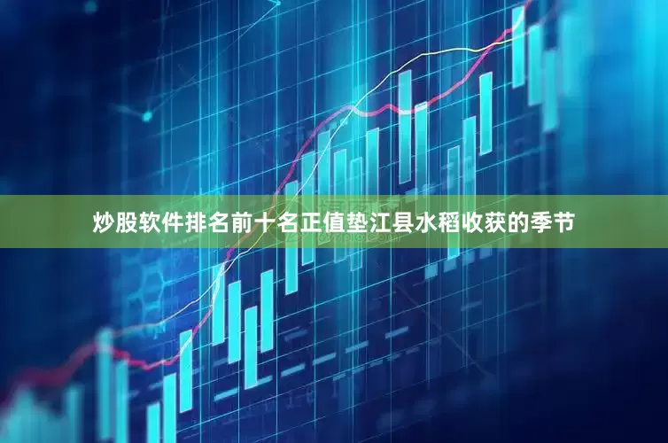 炒股软件排名前十名正值垫江县水稻收获的季节